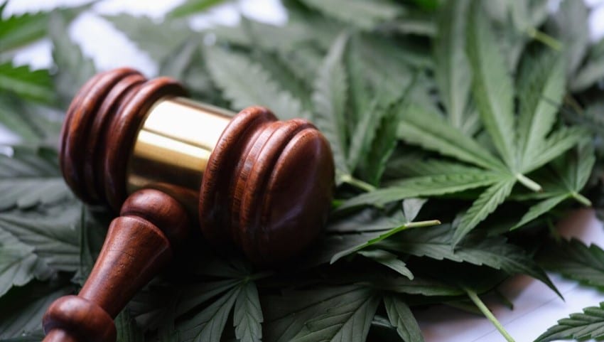 Defensa legal